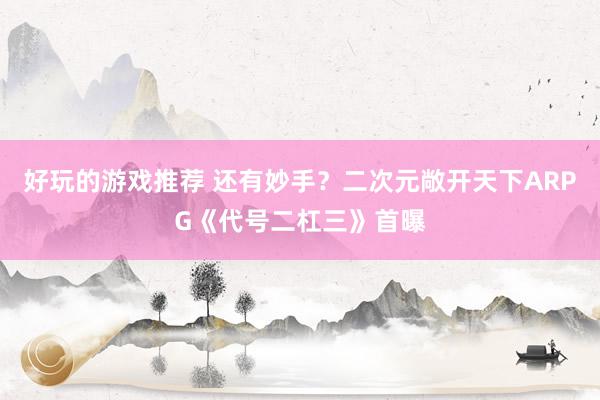 好玩的游戏推荐 还有妙手？二次元敞开天下ARPG《代号二杠三》首曝