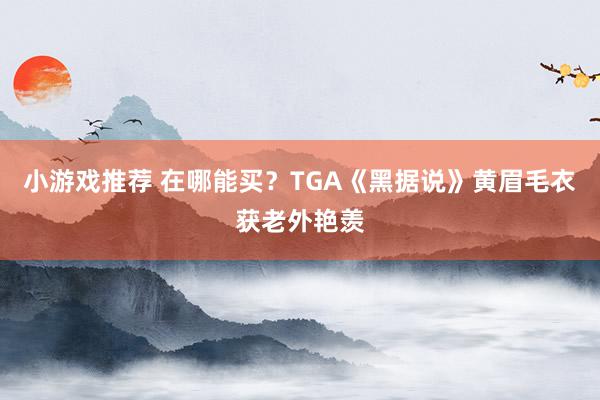 小游戏推荐 在哪能买？TGA《黑据说》黄眉毛衣获老外艳羡